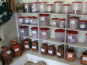 Seed collection of Jogimara, Dhading, Nepal community seed bank... Read More.
