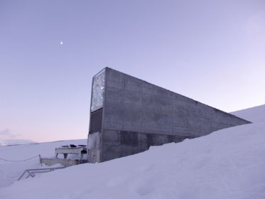 The Svalbard Global Seed Vault is a seedbank located in the Arctic Svalbard archipelago in Norway. Read More
