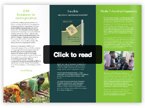 b4fa publication